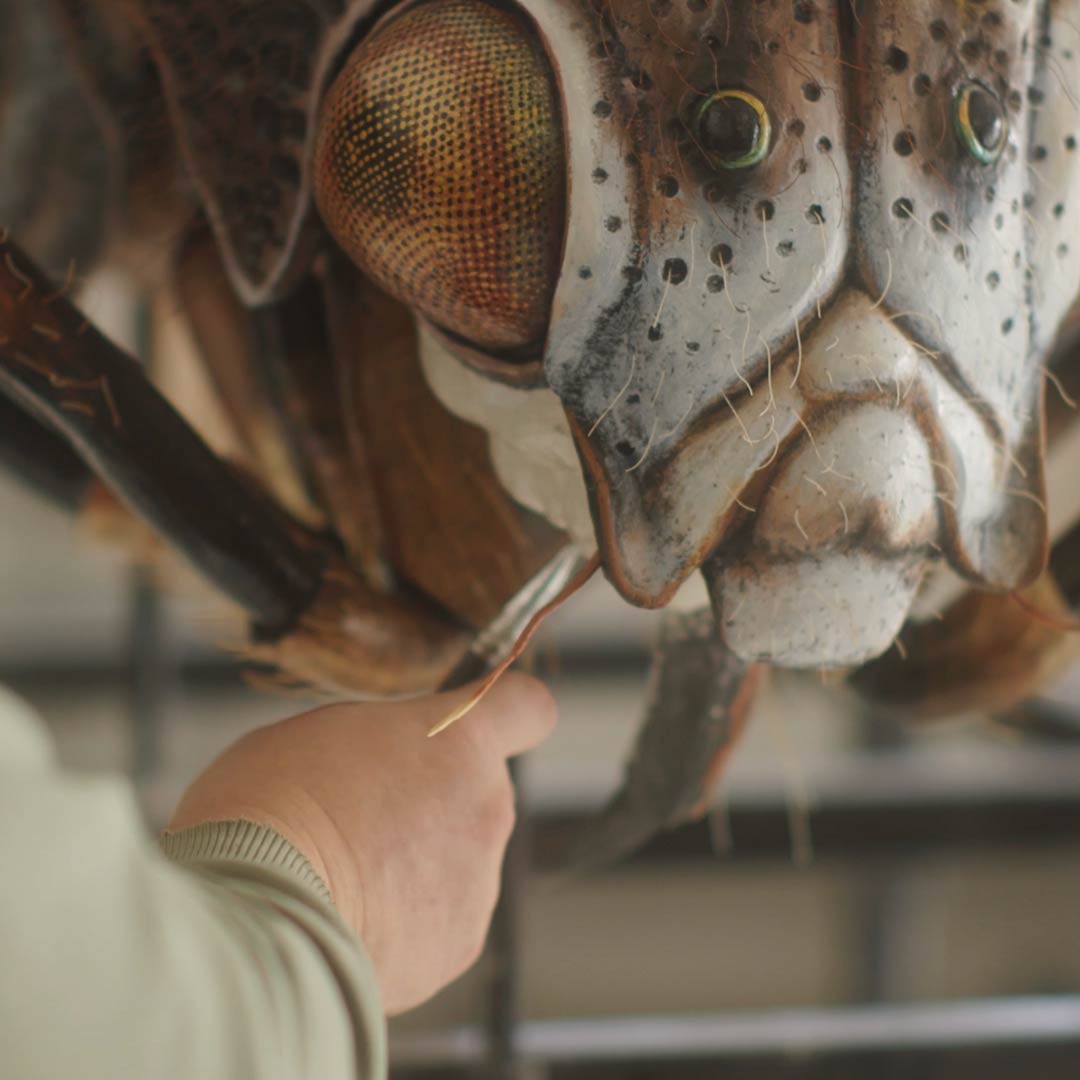 Megabrouci - zrod expozice