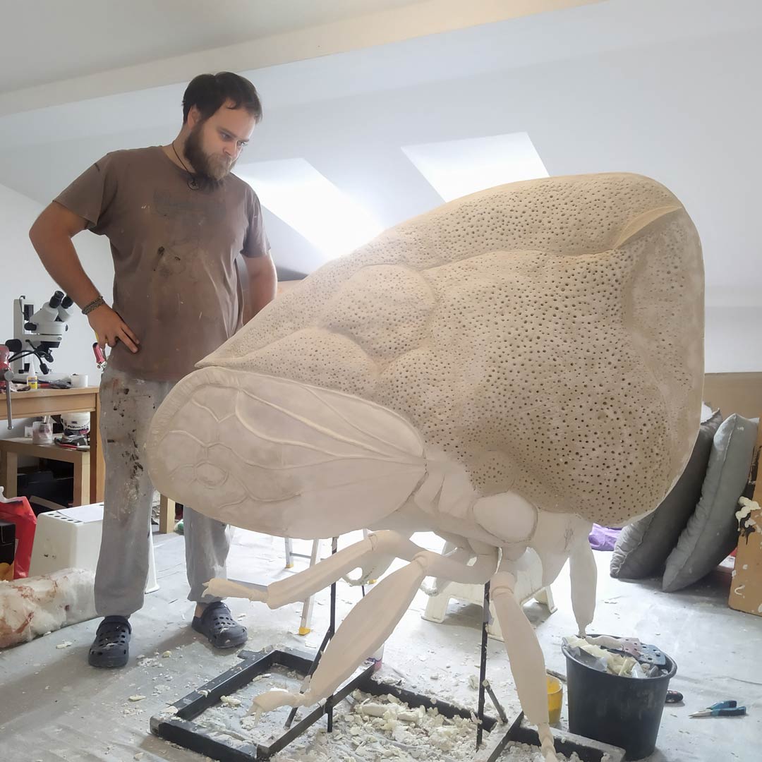 Megabrouci - zrod expozice